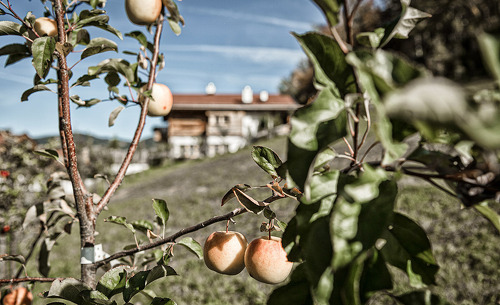 chalets-ladizium-ladis-32