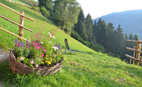 natur-chalet-rinkwein-18