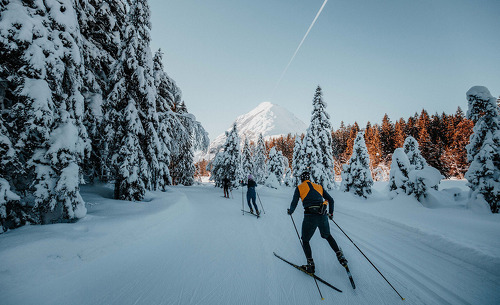 copyright-region-seefeld-2