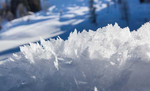 ferienhof-oberreit-winter-02 ferienhof-oberreit-winter-02