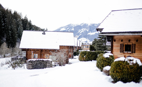 landgut-moserhof-kaernten-81 landgut-moserhof-kaernten-81