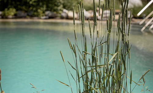 birnbaum-chalets-sommer-29