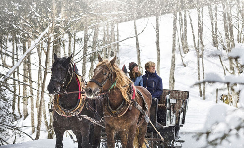copyright-saalbach-schlitten-mirja-geh