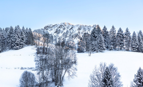 schrofen-chalets-winter-04 schrofen-chalets-winter-04