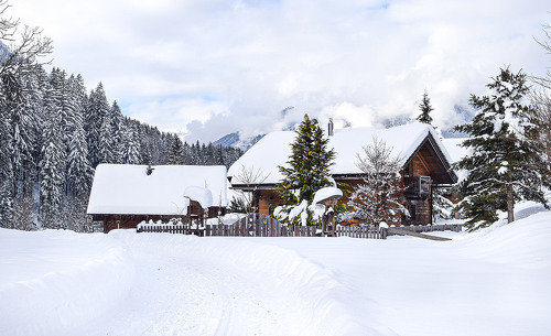 winteruraub-landgut-moserhof-1 winteruraub-landgut-moserhof-1
