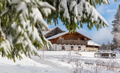 gutsalm-35 gutsalm-35