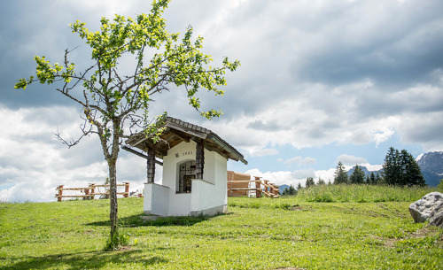 hotel-gutjahr-sommer-17