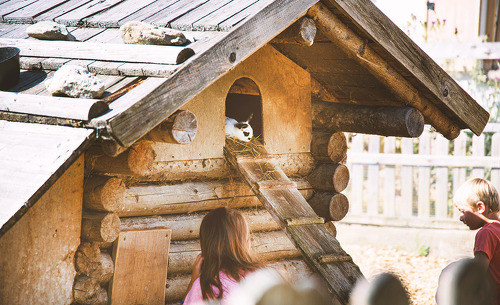 almdorf-reiteralm-30 almdorf-reiteralm-30