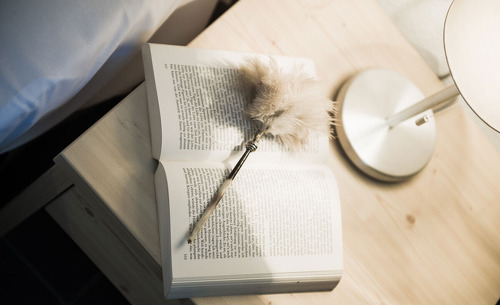 alpenparks-areitxpress-6