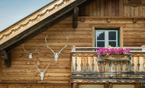 birnbaum-chalets-sommer-26