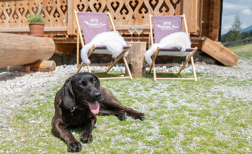 Chalet-Urlaub mit Hund - Prenner Alm Steiermark