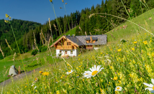 natur-chalet-schladming