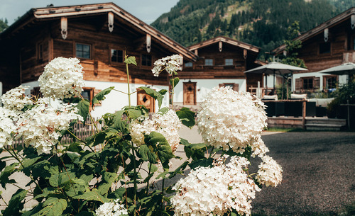 alpzitt-chalets-sommer-13