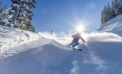 alpenparks-hochkoenig-17 alpenparks-hochkoenig-17