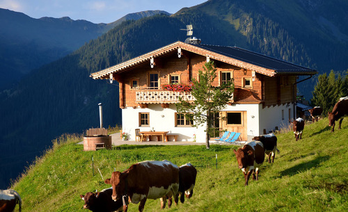 Sommerurlaub in Saalbach-Hinterglemm in Salzburg auf der Alm in der Wallegg-Lodge