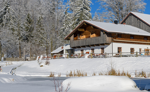 gutsalm-46 gutsalm-46