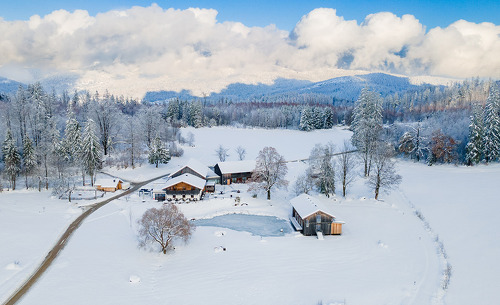 gutsalm-97 gutsalm-97