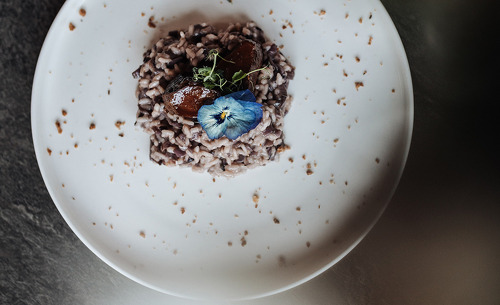 suedtirol-chalets-valsegg-genuss-16