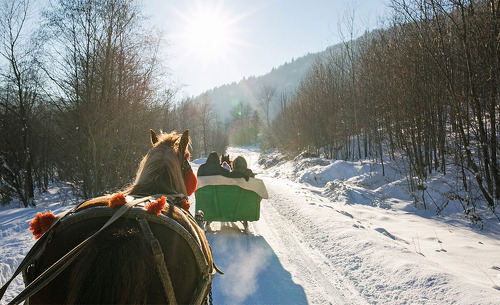 alpine-lodge-schladming-051