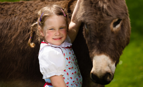 hochleben-chalets-10