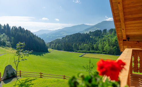 ausblick-linharter-chalet