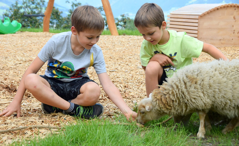 wachterhof-chalets-sommer-10