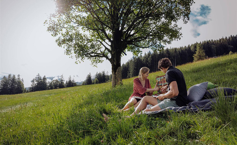 angebot-almsommer-puardies