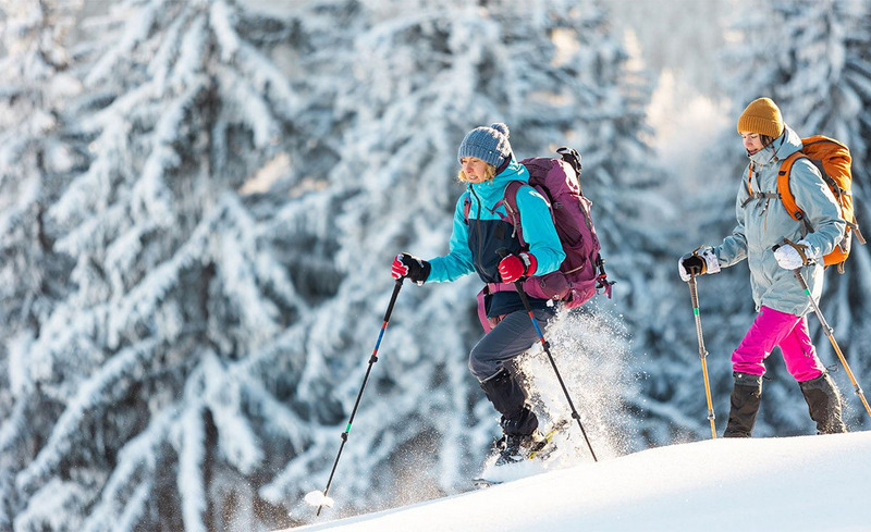 alpine-lodge-schladming-052