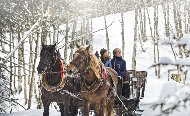 copyright-saalbach-schlitten-mirja-geh
