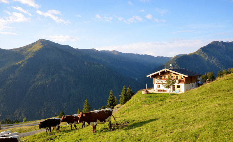 Sommerurlaub in Saalbach-Hinterglemm auf der Alm in der Wallegg Lodge in Salzburg