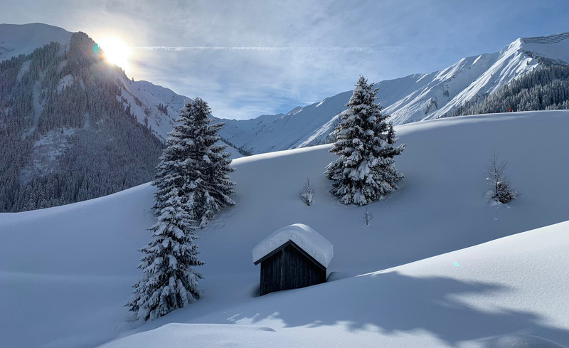 mountain-chalet-r-60