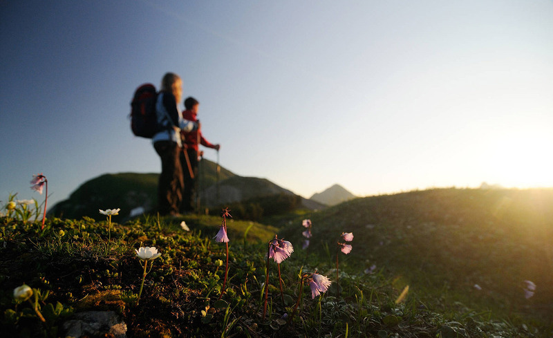 wandern-tannheimer-tal