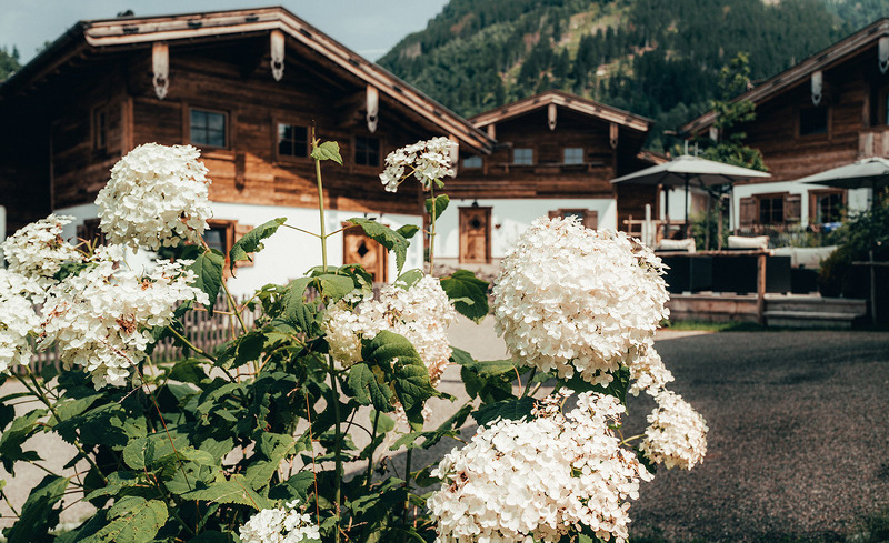 alpzitt-chalets-sommer-13