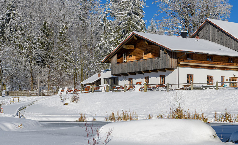 gutsalm-46 gutsalm-46