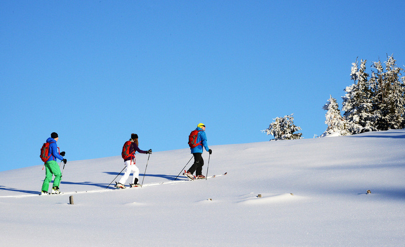 alpenparks-hochkoenig-19