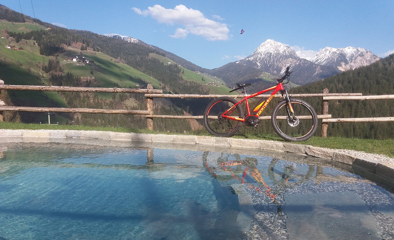 natur-chalet-rinkwein-36