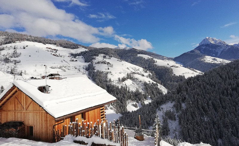 natur-chalet-rinkwein-1