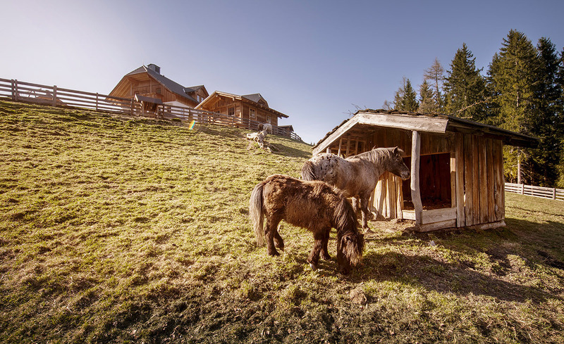 almdorf-reiteralm-40