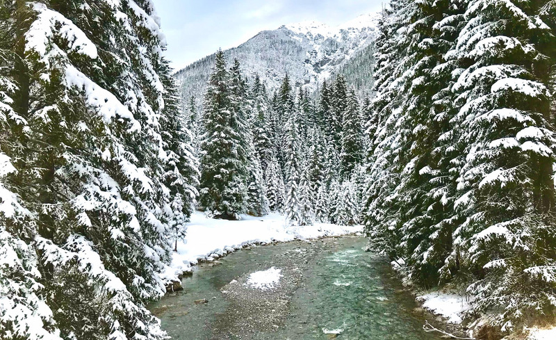 mountain-chalet-r-54