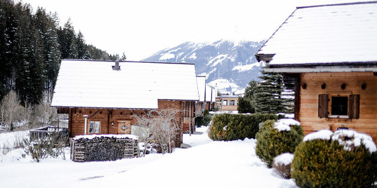 landgut-moserhof-kaernten-81