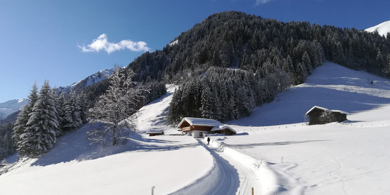 alpenchalet-rauris-22