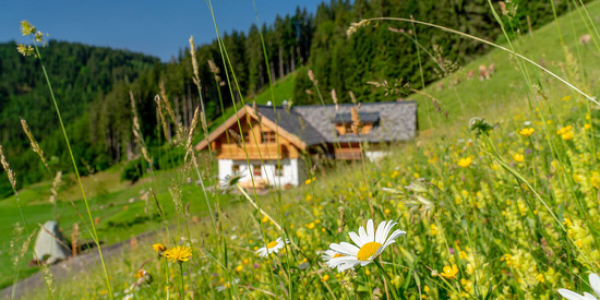 natur-chalet-schladming