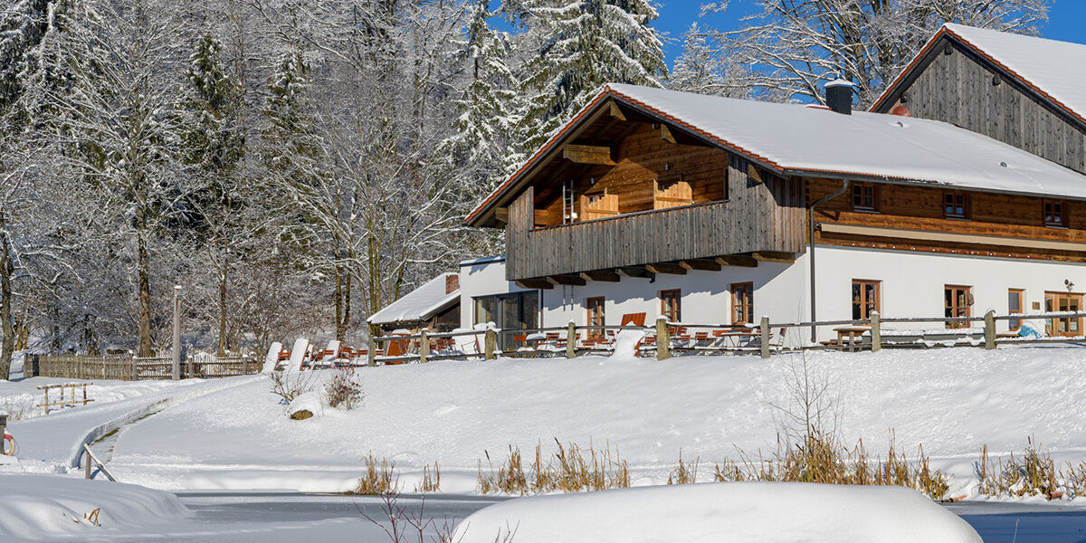 gutsalm-46 gutsalm-46