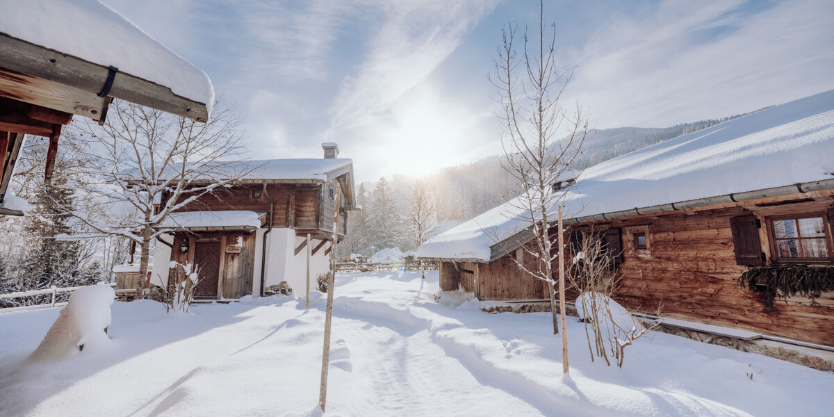 winter (7) winter (7)
