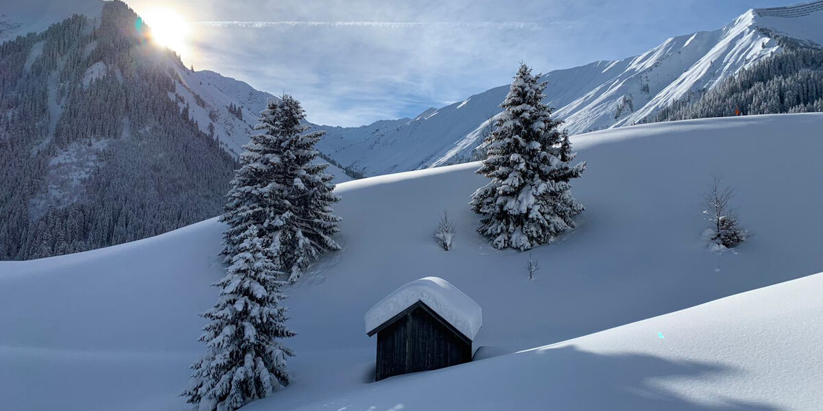 mountain-chalet-r-60 mountain-chalet-r-60