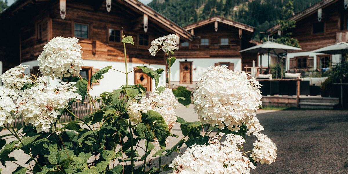 alpzitt-chalets-sommer-13