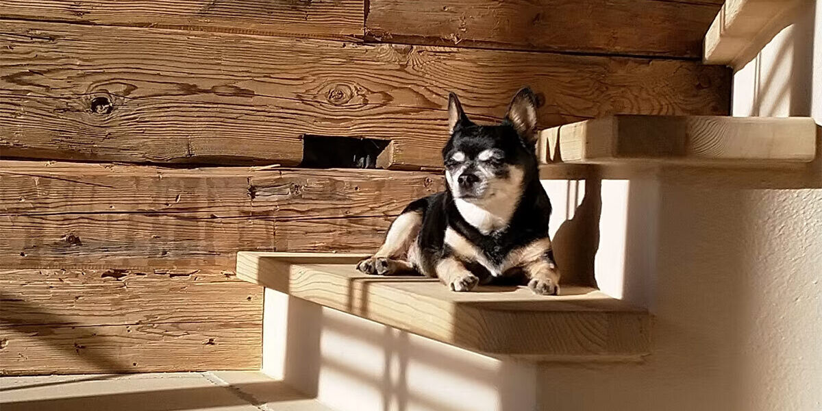 schrofen-chalets-sommer-12